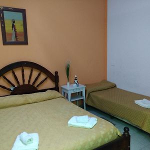 Habitación Familiar Clásica con 2 Camas Individuales